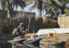 Hoor-al-azim wetland, full of wastewater – criminal policies against Falahieyh Wetland